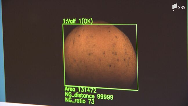 「広域選果場にもAI選果システムを」柑橘生産にもスマート農業技術導入へ 静岡県議会で論戦|TBS NEWS DIG