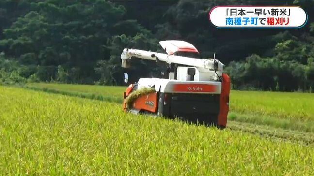「日本一早い新米」コシヒカリの収穫始まる　価格は「相当上がっている」　鹿児島・南種子町|TBS NEWS DIG