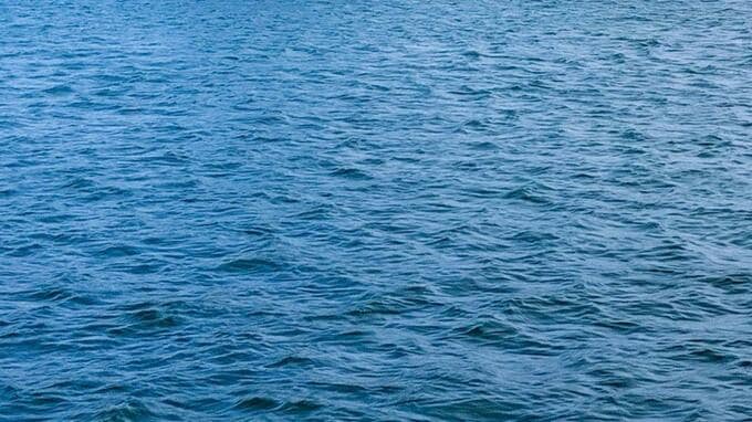 シートベルトしたまま…海中の車から見つかった氏名年齢性別不詳の遺体　52歳女性と判明【長崎・島原】|TBS NEWS DIG