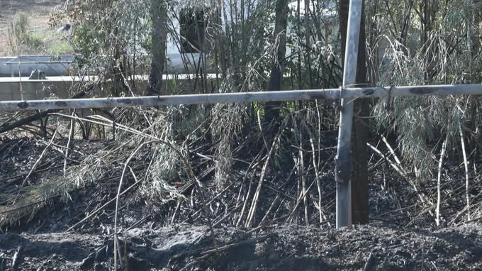 「竹藪が燃えている」日南海岸国定公園で林野火災　鹿児島・志布志市|TBS NEWS DIG
