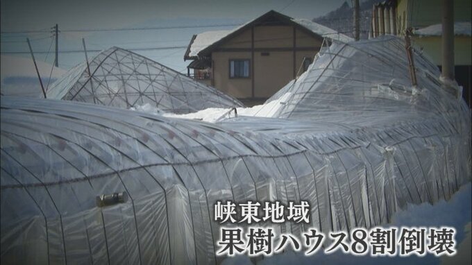 「シャインマスカットのおかげ」大雪被害から農業用ハウス再建　果樹農家10年の道のり|TBS NEWS DIG