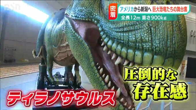 2億年前の地上を再現！『ジュラシック大恐竜展』オープン3日前に密着　|　新潟のニュース・天気｜BSN NEWS｜BSN新潟放送