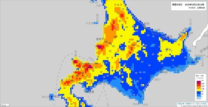 【大雪情報】北海道石狩地方では31日夕方にかけて大雪による交通障害やなだれに十分注意を　警報級の大雪となるおそれ　2月1日夜から2日にかけても警報級の大雪となるおそれ【雪と雨のシミュレーション】　|　富山のニュース｜天気・防災｜チューリップテレビ