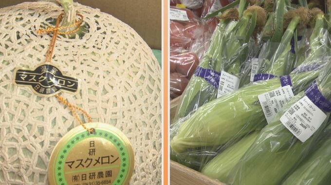 連日続く季節外れの暑さ！マスクメロンやトウモロコシなど旬の野菜や果物への影響は？野菜のスペシャリストに聞いてみた【チャント！調査隊】　|　名古屋・愛知・岐阜・三重のニュース【CBC news】 | CBC web