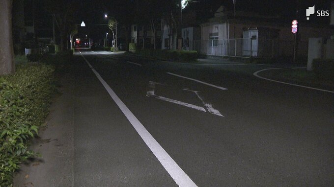 道路を横断していた94歳の女性が車にはねられ意識不明の重体＝浜北警察署|TBS NEWS DIG