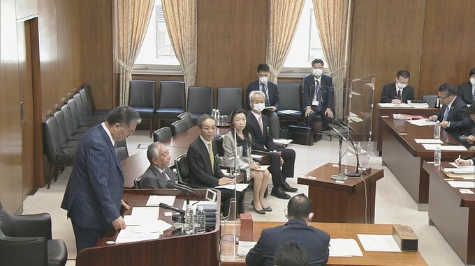 外国人の送還停止などめぐり、入管法で参考人質疑　難民申請回数巡り意見分かれる
