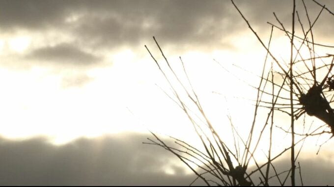 「立春」の陽気で金沢は最高気温が10.4度 週末は強烈な寒気到来で大雪のおそれ|TBS NEWS DIG