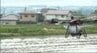 ドローン使って田んぼに種もみをまいてコメ栽培…直接種もみをまく「直播栽培」苗作りと田植え作業なくすことで「省力化」や「低コスト化」長野・安曇野市で実証実験　|　SBC NEWS | 長野のニュース | SBC信越放送