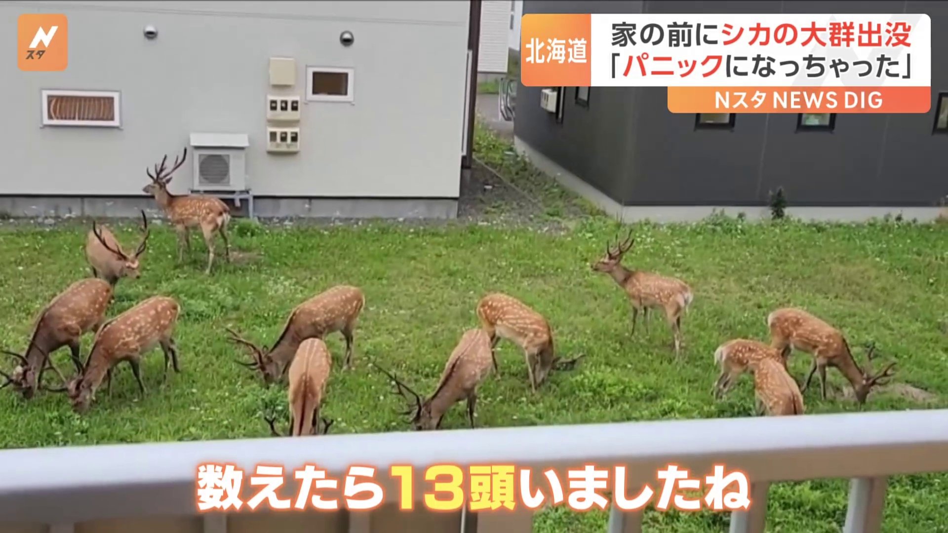 A deer / 鹿 鹿3Dモデルダウンロード用。TurboSquid