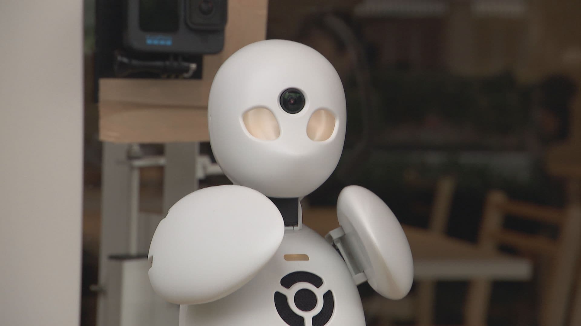 レストランの案内役は「分身ロボット」  スピーカーで会話も可能　愛らしい身振り手振りで客とコミュニケーション