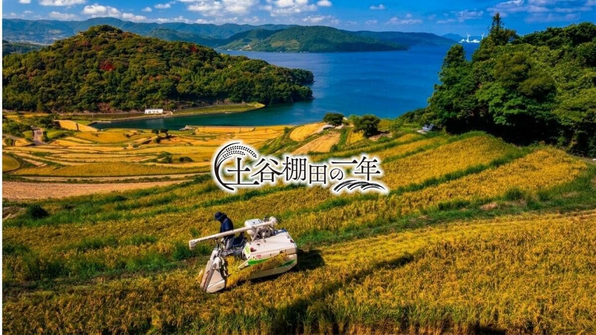日本の棚田100選 “土谷棚田”「自分たちの田んぼは一番輝いている」家族