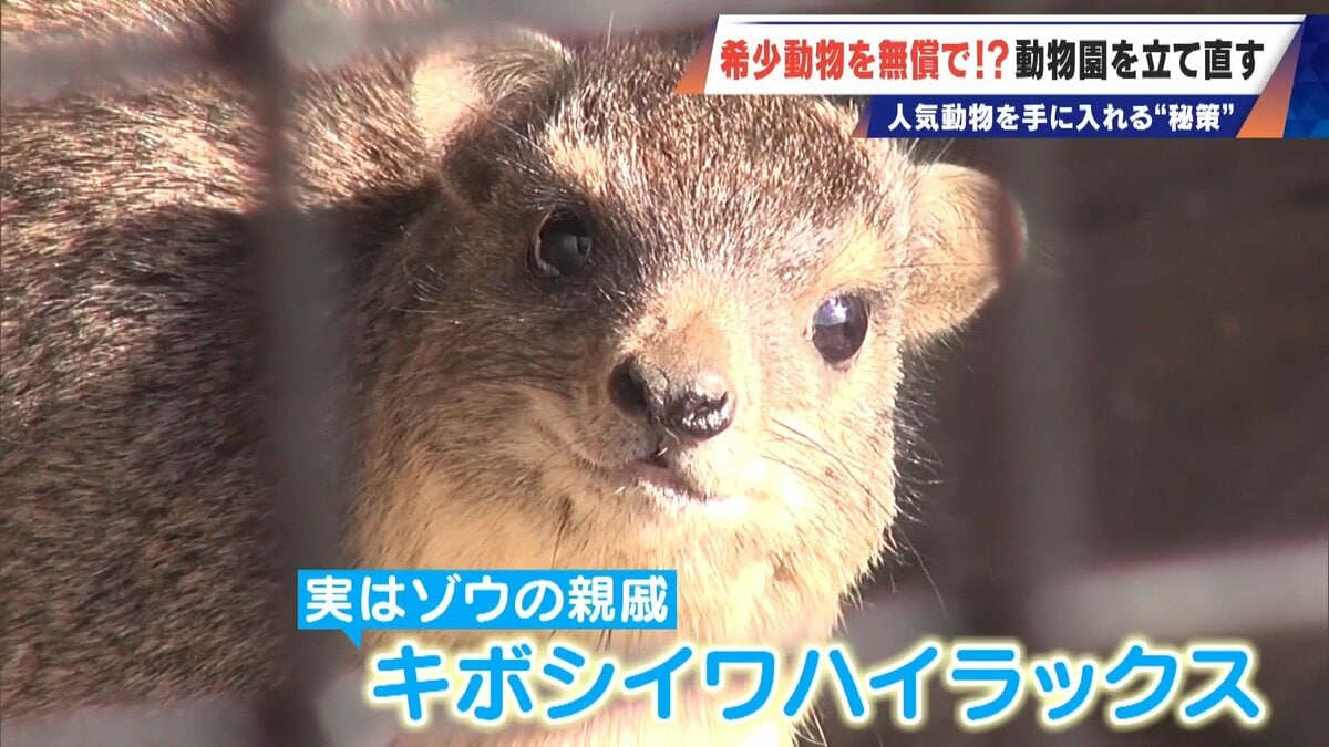 経営難の動物園から脱却を… 希少動物を無償で呼び込む“秘訣” 物価高