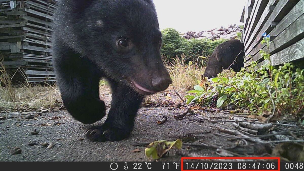 img_32c38c3a724cad5a716b6922a4