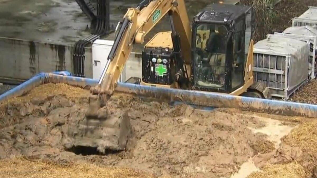 熊本城 五つの櫓の復旧作業 壁土の強度高める『練返し（ねりかえし