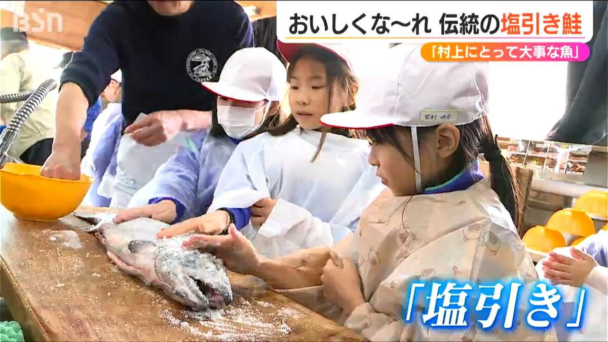 鮭は村上にとって大事な魚…」小学生が伝統の『塩引き鮭作り』を体験