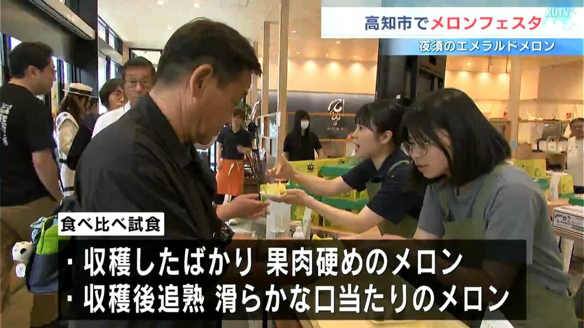 「硬め」か「追熟」どっちが好み？「夜須のエメラルドメロン」限定１００食の食べ比べ試食　メロンフェスタ開催【高知】