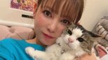 【中川翔子】 “夢は保護猫カフェをやること” 「たくさん助けたい」「責任も気持ちも果てしない」「猫たちに感謝と愛をこれからもずっと」|TBS NEWS DIG