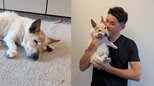 【いぬ】照英さん「寝る事は生きる事」　「愛犬テン19歳8ヶ月」梅雨空の室内でのんびりお昼寝|TBS NEWS DIG