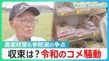 続く“令和のコメ騒動”…参議院選挙は農業政策も争点に　与野党は増産の方針、農家からは不安の声【サンデーモーニング】|TBS NEWS DIG