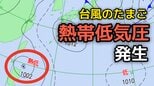 【台風のたまご】新たな「熱帯低気圧」が発生…今後の台風情報に注意 8月2日(日)にかけて雨・風シミュレーション&全国各都市の天気予報【気象庁天気図】|TBS NEWS DIG