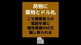 「荷物に薬物とドル札」ニセ警察らの電話を信じ暗号資産960万円騙し取られる 【長崎・諫早市】|TBS NEWS DIG