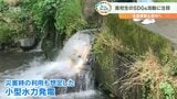 全国48校の頂点「高校生SDGsコンテスト」で大分工業最優秀賞 行政視察の高校も | 大分のニュース|OBS NEWS|大分放送