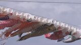 「掲揚は危険」ポールにひび割れ…釈迦堂川のこいのぼり、今年は休止に 1987年の開始以降初めて 福島・須賀川市 | 福島のニュース│TUF