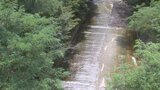 クマの目撃情報 今度は2頭の子熊が川沿いを歩く 6月以降、目撃相次ぐ 山梨・富士河口湖町 | 山梨のニュース | UTYテレビ山梨