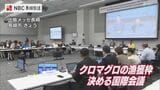 クロマグロ漁獲枠「25%拡大」を提案へ 日本近海で豊漁　長崎で国際会議が開幕　|　長崎のニュース | 天気 | NBC長崎放送