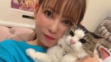 【中川翔子】 “夢は保護猫カフェをやること” 「たくさん助けたい」「責任も気持ちも果てしない」「猫たちに感謝と愛をこれからもずっと」|TBS NEWS DIG