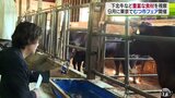 「生産者に会えるのもメリット」首都圏の外食産業関係者が下北牛など視察　青森・むつ市|TBS NEWS DIG