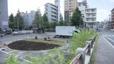 【岡山芸術交流】テーマは「変化と循環」→約10メートルの円形に約3000株のタンポポの苗 作品の制作作業を公開 |TBS NEWS DIG