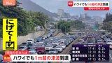 米・ハワイで1メートル超の津波到達 トランプ大統領「ハワイには津波警報が発令、日本にも津波、強く安全でいてほしい」|TBS NEWS DIG