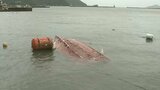台風14号 大分県から次第に遠ざかる 引き続き暴風などに厳重な警戒が必要 | 大分のニュース|OBS NEWS|大分放送