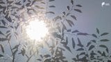 2日連続「「酷暑日」の見込み 浜松市佐久間と天竜で42℃予想 「熱中症警戒アラート」4日連続=静岡 | 静岡のニュース | SBSNEWS | 静岡放送