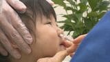 注射しない“鼻スプレー”で予防接種「やっぱり針は不安」来院者の3割が選んだインフルエンザ新ワクチンについて医師に聞いてみた　|　石川県のニュース｜MRO北陸放送