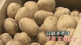 値上げの波拡がる！キャベツに続き身近な “じゃがいも” までも…天候不順を背景に野菜の高値が続く　|　富山のニュース｜天気・防災｜チューリップテレビ