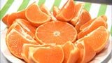 たっぷりの果汁ととろけるような食感 "みかんの大トロ"「せとか」の初競り 1箱7玉入りが3万円の過去最高値 | MRTニュース | MRT宮崎放送