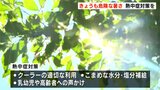 高知県高知市は最高気温38℃予想 30日も危険な暑さ 熱中症対策を | 高知のニュース・天気|KUTV NEWS | KUTVテレビ高知