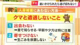 クマの走るスピードは時速50キロ　暖冬のことし冬眠から早めに目覚める可能性も　被害に遭わないためにはどうすればいい？　|　名古屋・愛知・岐阜・三重のニュース【CBC news】 | CBC web