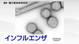 【1月6日~12日】インフルエンザ1医療機関あたり前週比2.6倍の「32.95人」警報レベル継続 仙台 | 宮城のニュース│tbc NEWS│tbc東北放送