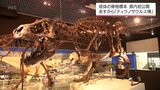 全長12mの骨格標本も 特別展「ティラノサウルス博」 宮崎県総合博物館で12日から開催 | MRTニュース | MRT宮崎放送