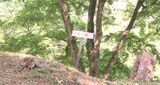 大聖寺城跡を国史跡 山田氏庭園・平木氏庭園を国の文化財に答申 石川県内の指定史跡は27件に|TBS NEWS DIG