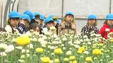 「ママにあげる」特産の花・ラナンキュラスを使って子どもたちがフラワーアレンジメント【香川・綾川町】|TBS NEWS DIG