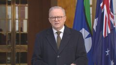 オーストラリア首相「来月の国連総会でパレスチナ国家承認」　仏・英・カナダに続く| TBS CROSS DIG with Bloomberg