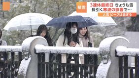 3連休最終日（24日）も各地で積雪　強烈寒波の影響が続いた　しかし「冬将軍もヘトヘト」春目前　週後半は4月並みの暖かさ　花粉も本格的に飛散開始へ|TBS NEWS DIG