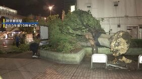 “逆走”台風15号　茨城で3人けが　各地で倒木や足場崩落も|TBS NEWS DIG