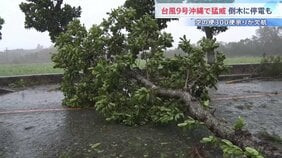 【台風9号】沖縄で猛威 宮古島で最大瞬間風速42.7m　停電や倒木の被害も　一方で列島各地は危険な暑さに 福岡・太宰府市では今年全国で最も暑い39.3℃観測|TBS NEWS DIG