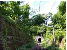 阿武隈急行で倒木による停電　1070人に影響　福島　|　福島のニュース│TUF