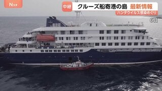 クルーズ船がテネリフェ島に寄港へ　現地では寄港反対デモ 一方で冷静な住民の声も　乗客ら避難へ米英などは特別機を派遣　ハンタウイルス集団感染疑いを受け| TBS CROSS DIG with Bloomberg